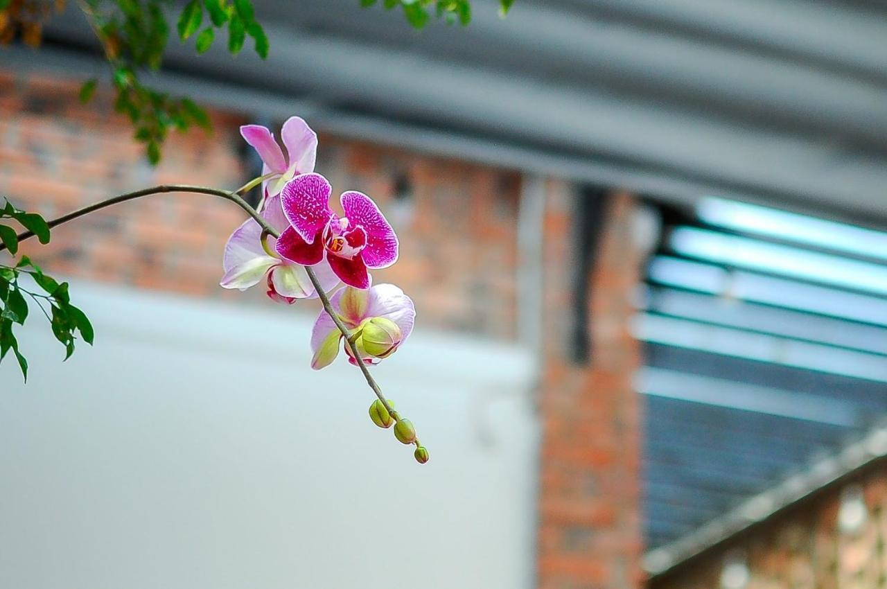 Chi Homestay #4 Huế Kültér fotó